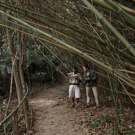 Tanjong Jara Resort, Terengganu - A Small Luxury Hotels Of The World Dungun Exterior photo Bamboo forest in the park